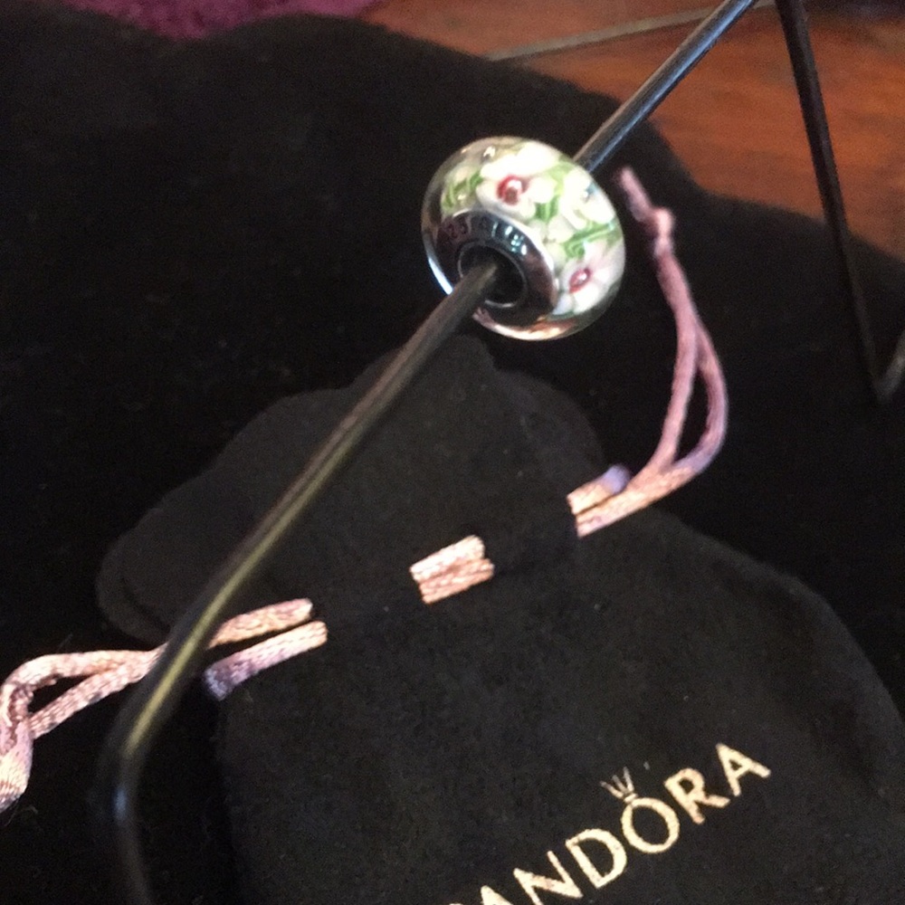Authentic Pandora Charm - Picture 3 of 4